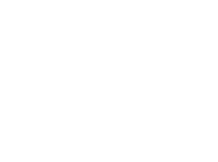MS Jeneratör